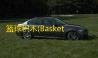 篮球积木(Basketball Block)  1