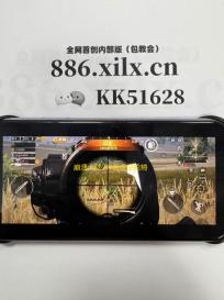 崩溃大陆2仲裁虚空轮椅套配装攻略 站撸BOSS的极致轮椅流