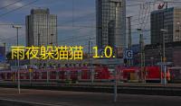 雨夜躲猫猫  1.0.0