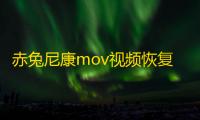 赤兔尼康mov视频恢复软件
