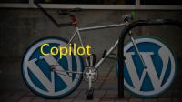 Copilot