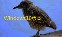 Windows10版本一键转换